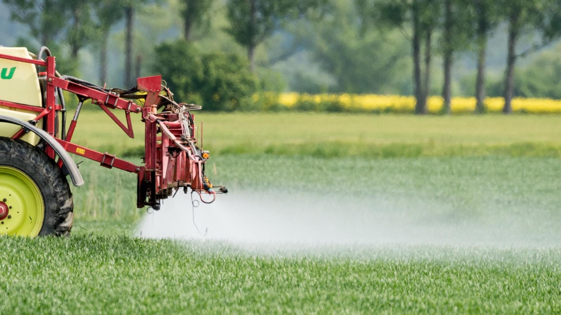 Ein Landwirt fährt mit einer Dünger- und Pestizidspritze über ein Feld mit jungem Getreide nahe Neuranft im Oderbruch (Brandenburg). Ein Landwirt fährt mit einer Dünger- und Pestizidspritze über ein Feld mit jungem Getreide nahe Neuranft im Oderbruch (Brandenburg).