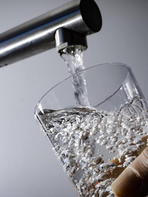 Symbolfoto: Wasser fliesst aus einem Wasserhahn in ein Glas.