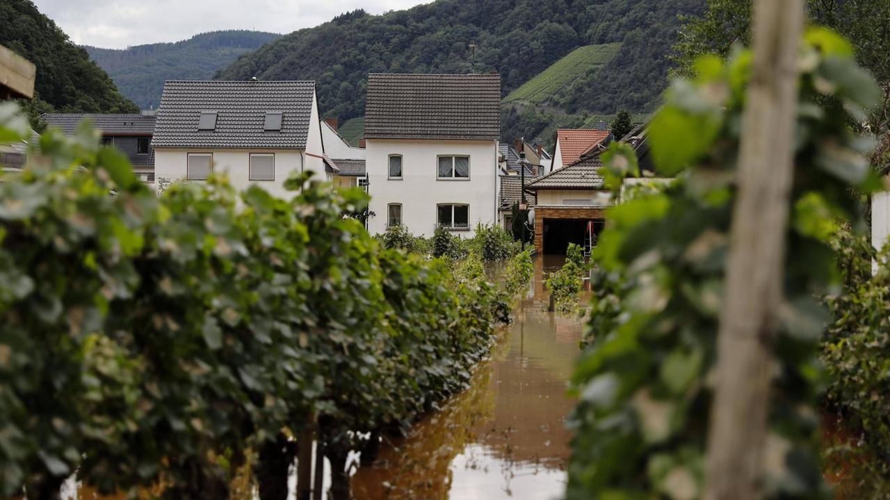 Im Ahrtal in der Eifel ist der Fluss nach Dauerregen über die Ufer getreten und bedroht Häuser und Weinreben, wie hier in Dernau. Im Ahrtal in der Eifel ist der Fluss nach Dauerregen über die Ufer getreten und bedroht Häuser und Weinreben, wie hier in Dernau.