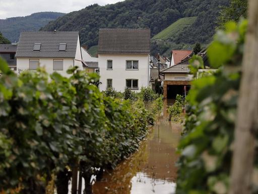 Im Ahrtal in der Eifel ist der Fluss nach Dauerregen über die Ufer getreten und bedroht Häuser und Weinreben, wie hier in Dernau.