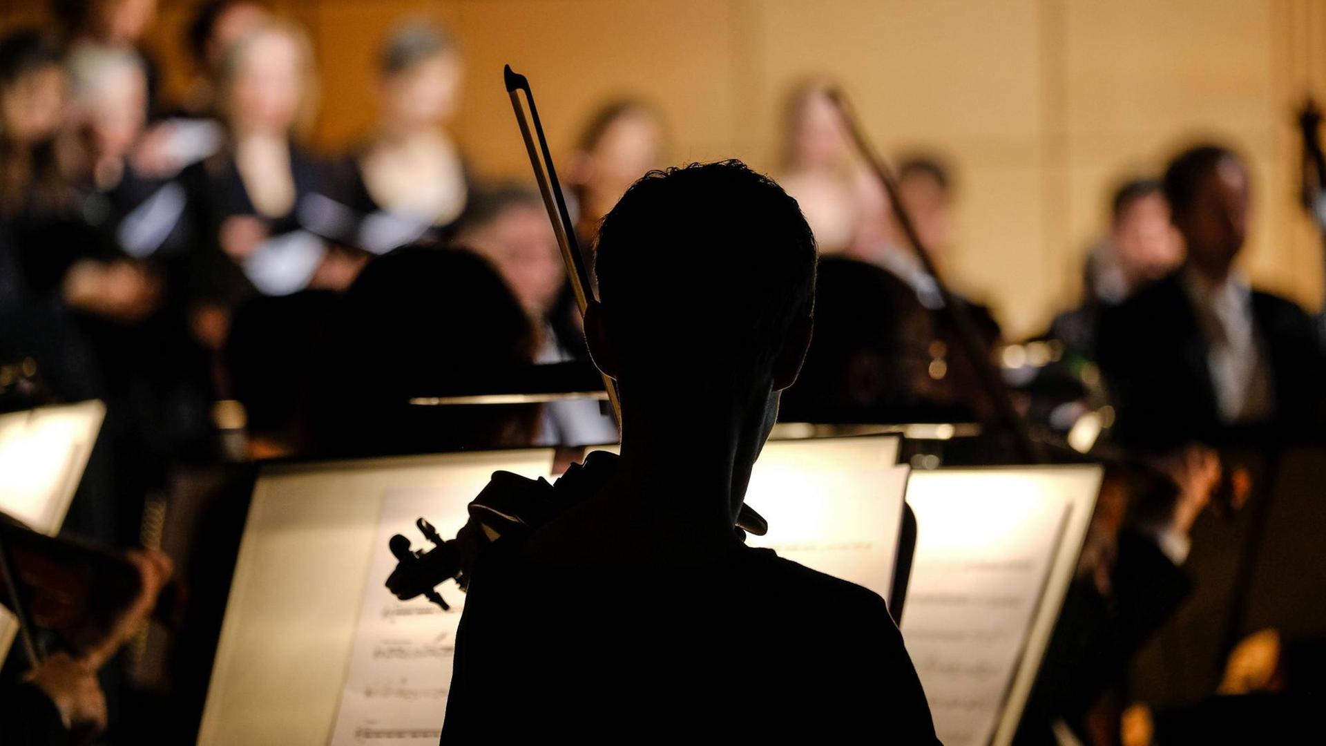 Orchester, ein Musiker als schwarze Silhouette von hinten. Orchester, ein Musiker als schwarze Silhouette von hinten.
