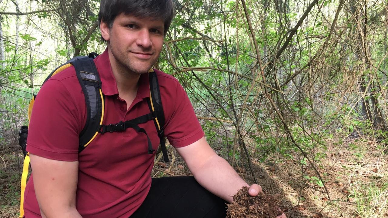 Waldschützer Simon Tangerding hält eine Handvoll Humus in der Hand. Waldschützer Simon Tangerding hält eine Handvoll Humus in der Hand.