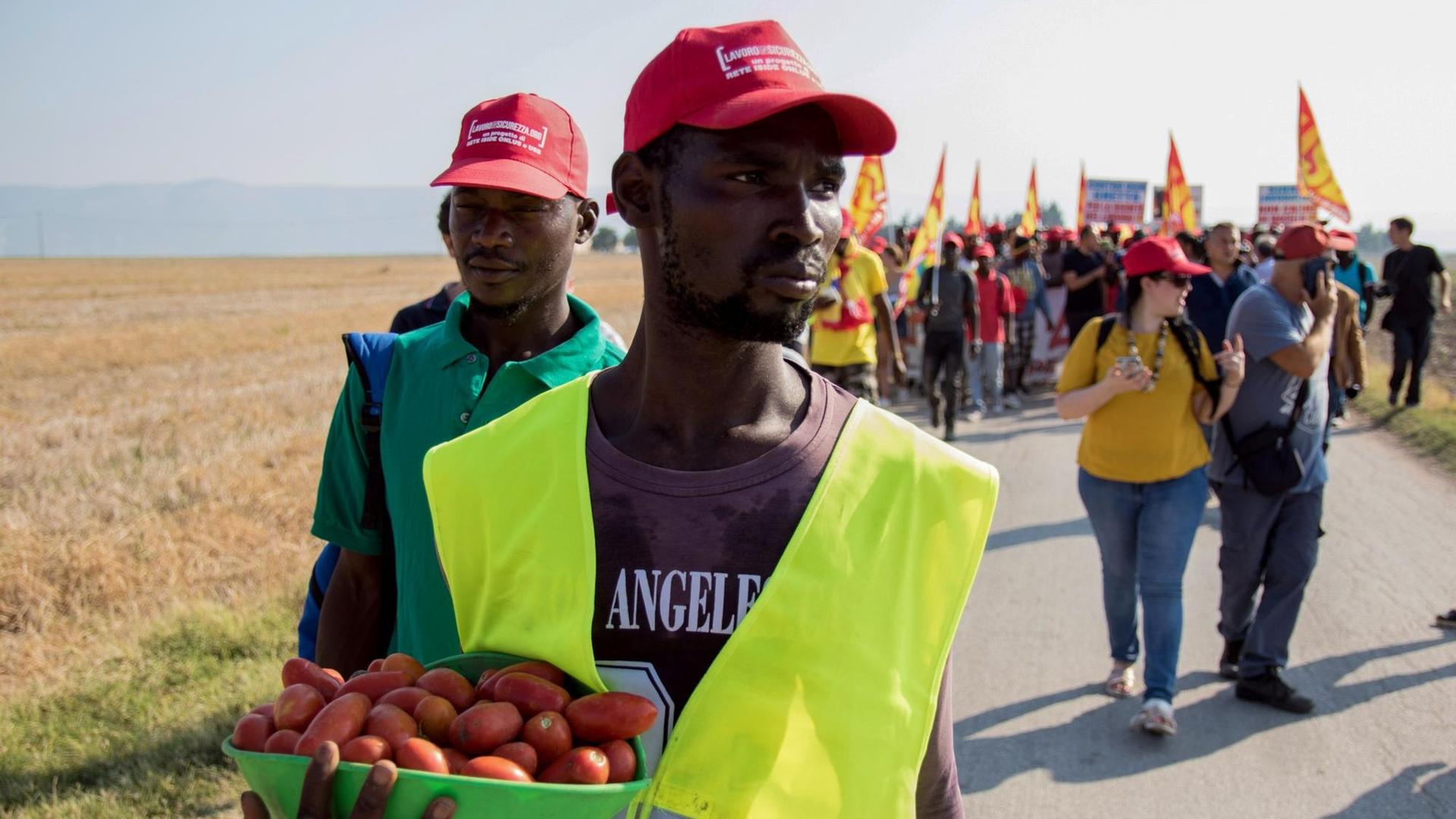 Migranten auf einer Tomatenplantage in Foggia, Italien