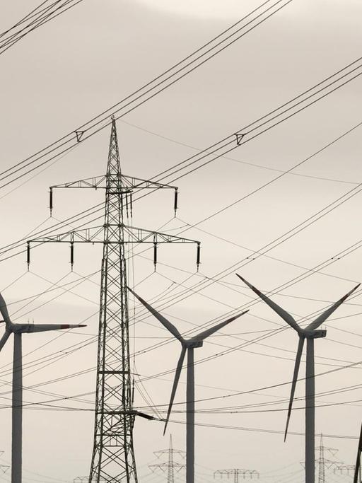 Windräder drehen sich hinter Hochspannungsleitungen bei Teutschenthal in Sachsen-Anhalt.