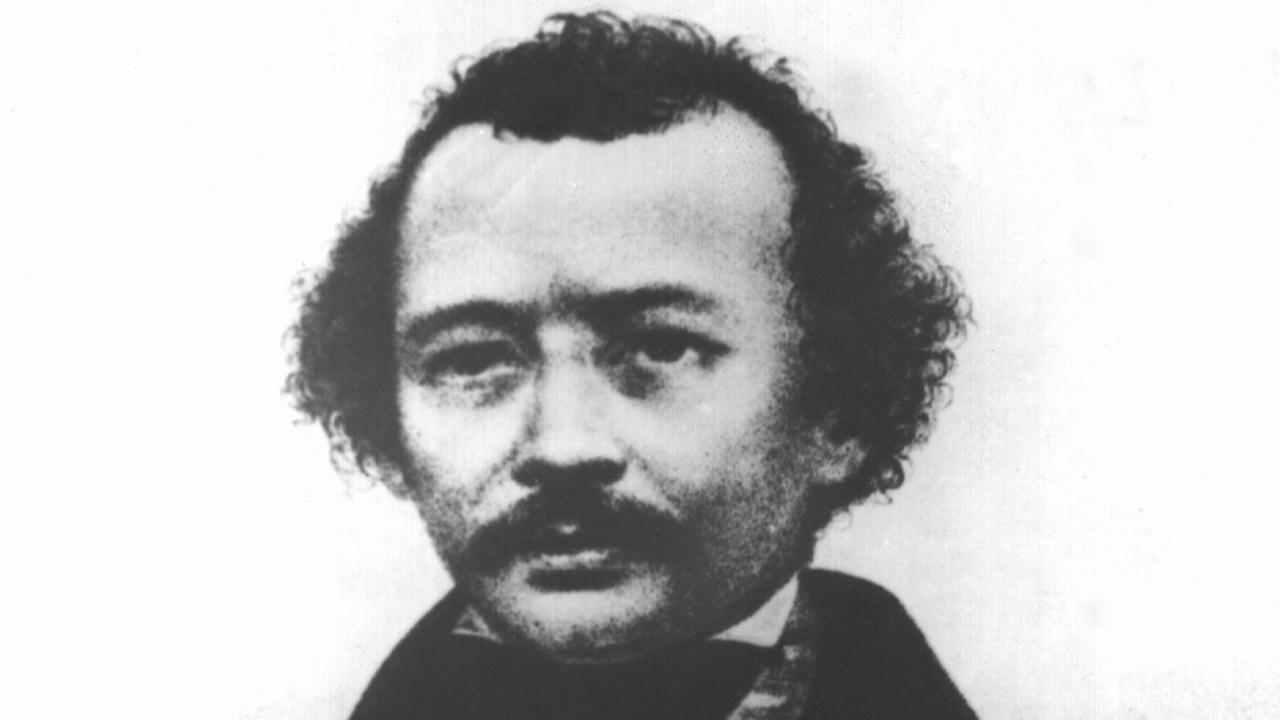 Ein Portrait des russischen Revolutionärs und politischen Schriftstellers Michail Aleksandrowitsch Bakunin, Ein Portrait des russischen Revolutionärs und politischen Schriftstellers Michail Aleksandrowitsch Bakunin,