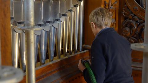 Orgelputzen im Berliner Dom