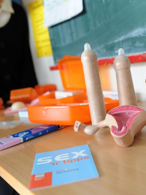 Schüler stehen in einer Schule in Hannover im Sexualkundeunterricht neben Anschauungsmaterial zur Unterrichtseinheit "Sozialkompetenz und Sexualerziehung".