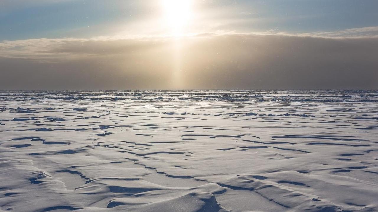 Aufnahme von arktischem Meereis - hier aus dem Spätsommer 2015.