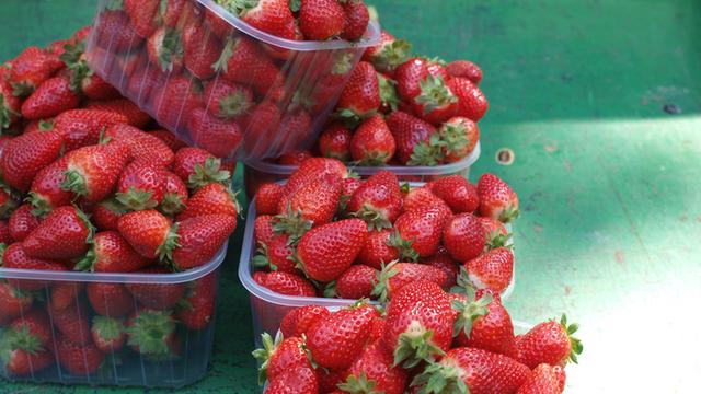 Mehrere Schalen mit Erdbeeren stehen auf einem Marktstand