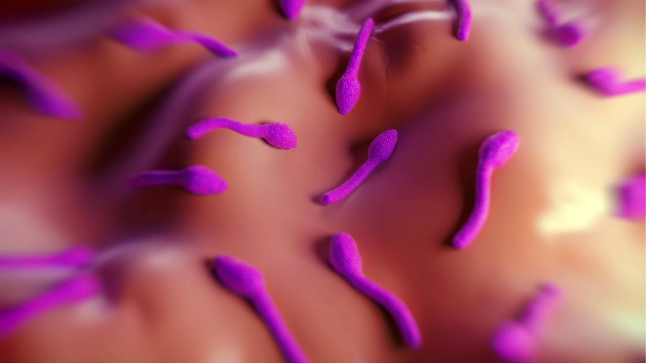 Illustration eines Clostridium bacterium - das Bakterium kommt vor allem in Böden und im Verdauungstrakt von höheren Lebewesen vor.