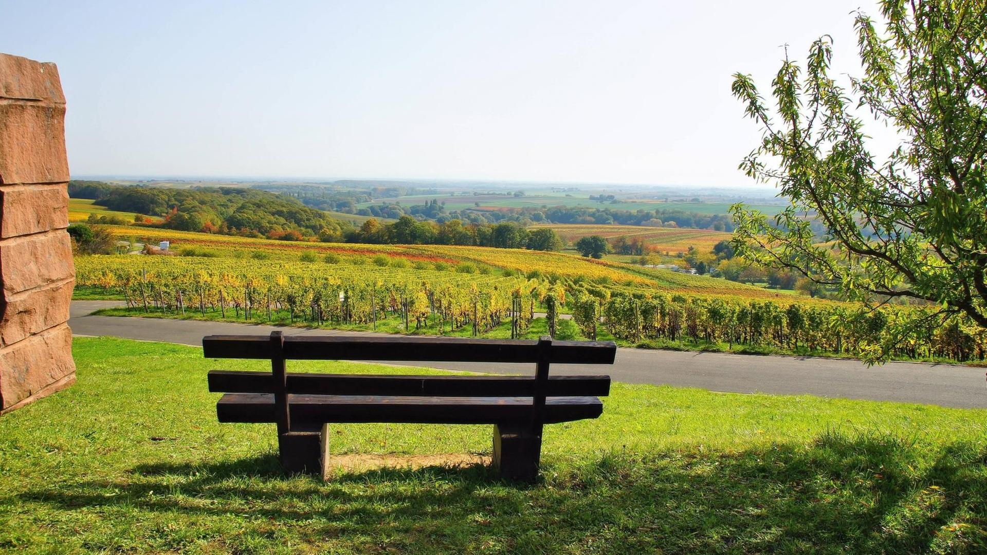 Das Foto zeigt den Blick auf eine Bank und die Weinberge bei Gleiszellen-Gleishorbach. Das Foto zeigt den Blick auf eine Bank und die Weinberge bei Gleiszellen-Gleishorbach.