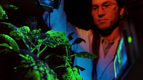 Ein Forscher beugt sich über besonders grün leuchtende Pflanzen.