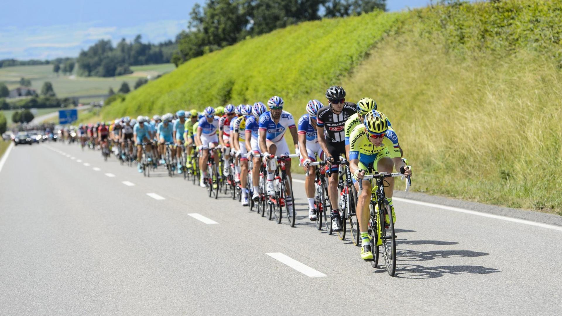 Eine Aufnahme der 79. Tour de Suisse (19.Juni 2015). Radfahrer fahren hintereinander einen Hang hoch. Eine Aufnahme der 79. Tour de Suisse (19.Juni 2015). Radfahrer fahren hintereinander einen Hang hoch.