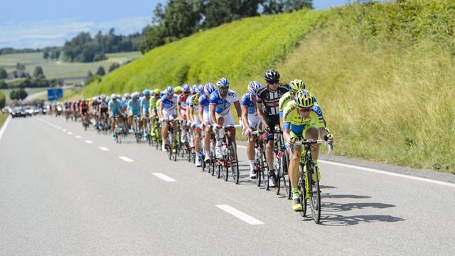 Eine Aufnahme der 79. Tour de Suisse (19.Juni 2015). Radfahrer fahren hintereinander einen Hang hoch.