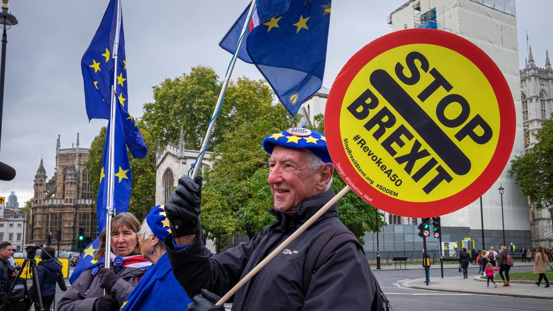 Anti-Brexit-Protest in London: Demonstranten halten EU-Flaggen und ein Schild "Stop Brexit" in die Höhe. Anti-Brexit-Protest in London: Demonstranten halten EU-Flaggen und ein Schild "Stop Brexit" in die Höhe.