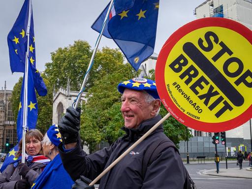 Anti-Brexit-Protest in London: Demonstranten halten EU-Flaggen und ein Schild "Stop Brexit" in die Höhe.