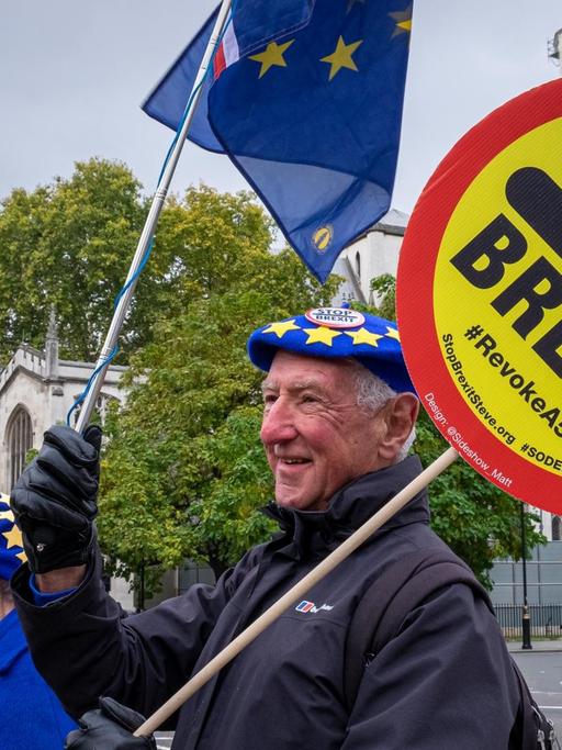 Anti-Brexit-Protest in London: Demonstranten halten EU-Flaggen und ein Schild "Stop Brexit" in die Höhe.