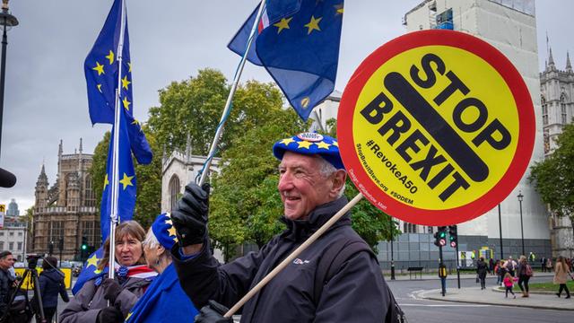 Anti-Brexit-Protest in London: Demonstranten halten EU-Flaggen und ein Schild "Stop Brexit" in die Höhe.