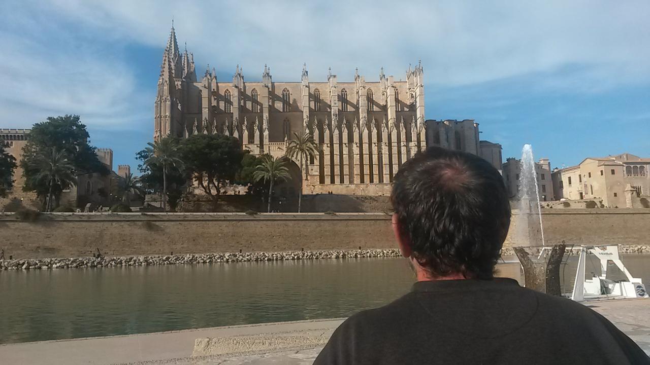 Ein Mann steht mit dem Rücken zum Betrachter vor der Kathedrale in Palma.