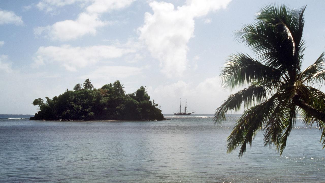 Palmenidylle mit Blick auf eine vorgelagerte Insel mit üppiger Vegetation,