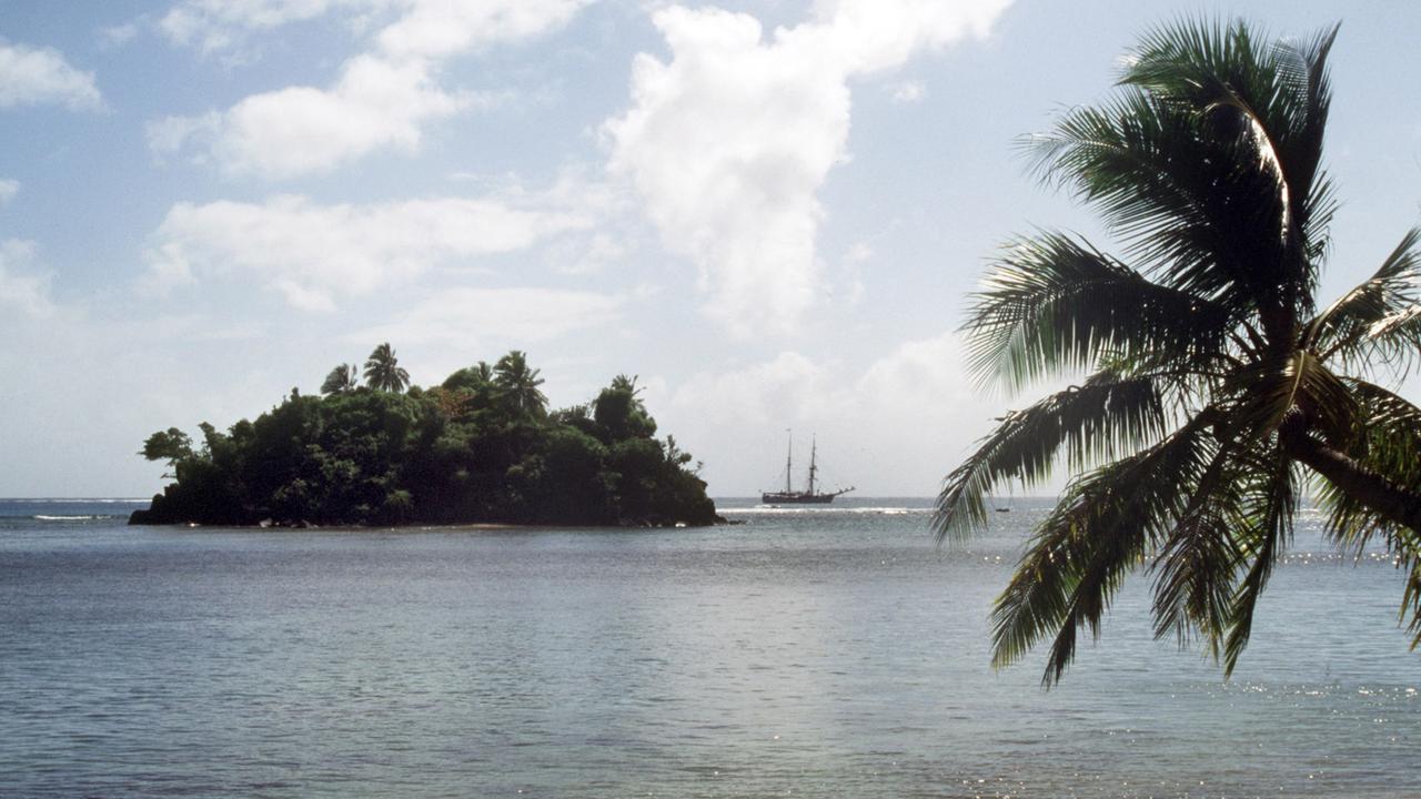 Palmenidylle mit Blick auf eine vorgelagerte Insel mit üppiger Vegetation, Palmenidylle mit Blick auf eine vorgelagerte Insel mit üppiger Vegetation,
