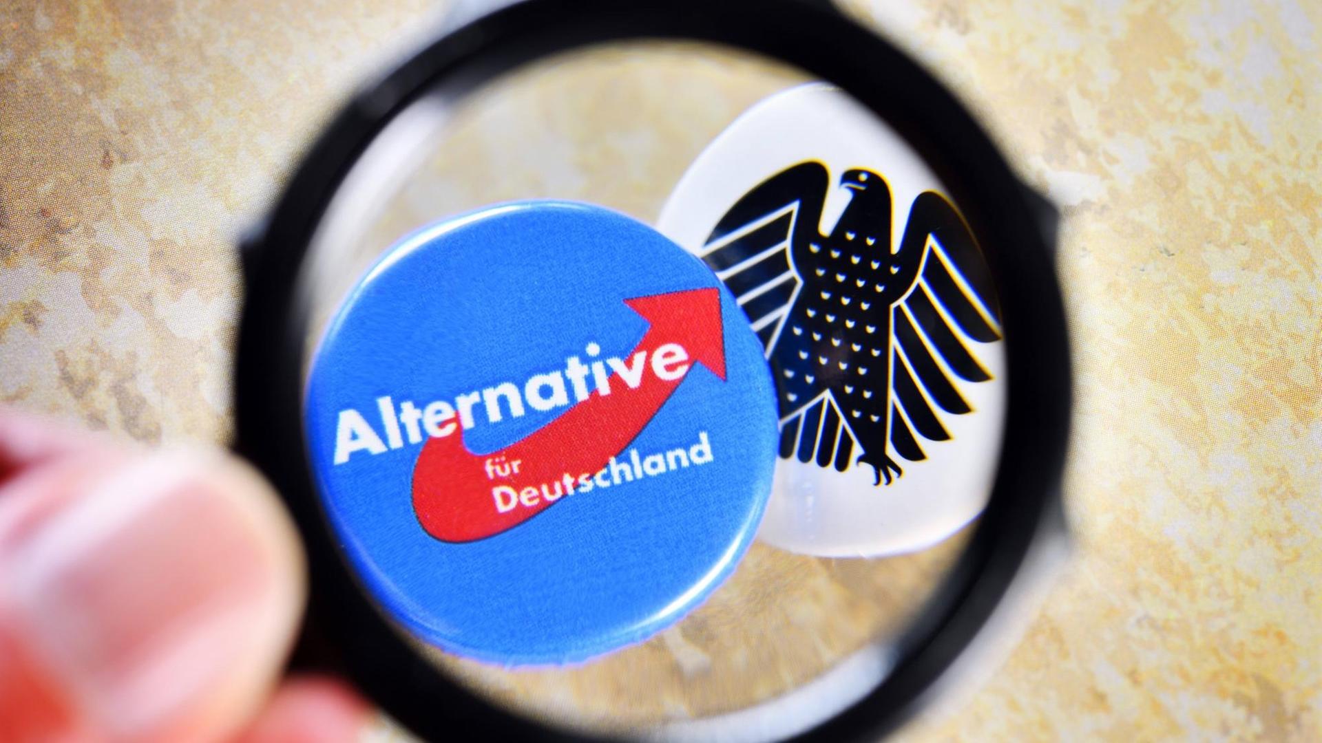 Zu sehen ist das Logo der AfD. Dahinter ist ein Bundes-Adler. Zu sehen ist das Logo der AfD. Dahinter ist ein Bundes-Adler.