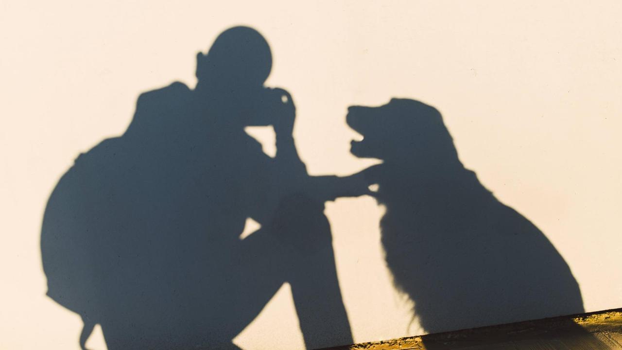 Auf einer Wand sind die Schatten von einem knieenden Mensch zu sehen, der ein Foto macht. Daneben der Schatten eines Hundes, den der Mann am Hals berührt. Auf einer Wand sind die Schatten von einem knieenden Mensch zu sehen, der ein Foto macht. Daneben der Schatten eines Hundes, den der Mann am Hals berührt.