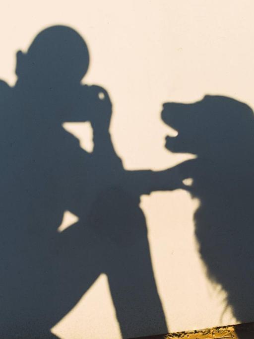 Auf einer Wand sind die Schatten von einem knieenden Mensch zu sehen, der ein Foto macht. Daneben der Schatten eines Hundes, den der Mann am Hals berührt.