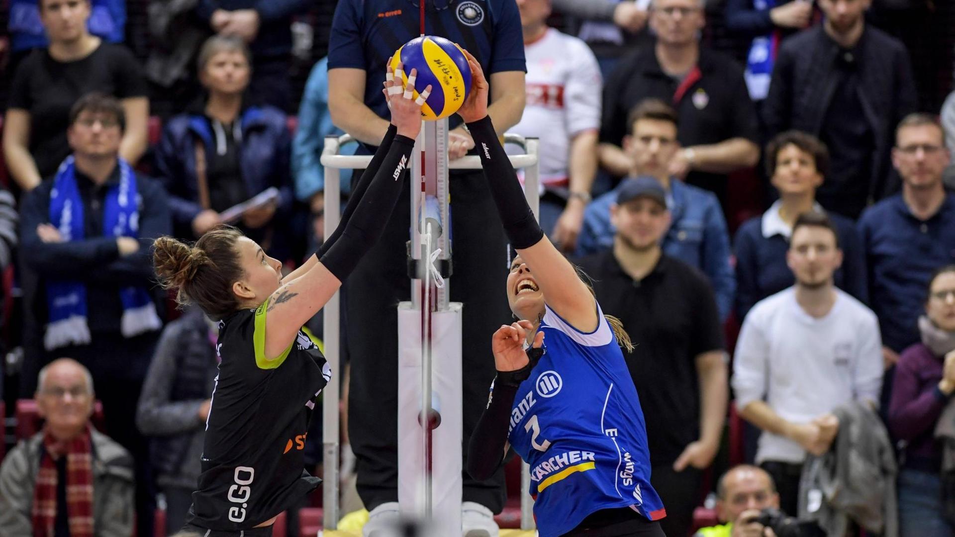 VBL Allianz MTV Stuttgart vs. Ladies in Black Aachen 31. Maerz 2018 Allianz MTV Stuttgart, Volleyball, Bundesliga, Damen, Saison 2017/18, (in blau), Play-off Halbfinale, gegen Ladies in Black Aachen (in schwarz); Femke Stoltenborg 2, gegen Mckenzie Adams links/ FOTO: TOM BLOCH *** VBL Allianz MTV Stuttgart vs Ladies in Black Aachen 31 March 2018 Allianz MTV Stuttgart Volleyball Bundesliga Women Season 2017 18 in blue Play off semi-final against Ladies in Black Aachen in black Femke Stoltenborg 2 against Mckenzie Adams left PHOTO TOM BLOCH xtbx VBL Allianz MTV Stuttgart vs. Ladies in Black Aachen 31. Maerz 2018 Allianz MTV Stuttgart, Volleyball, Bundesliga, Damen, Saison 2017/18, (in blau), Play-off Halbfinale, gegen Ladies in Black Aachen (in schwarz); Femke Stoltenborg 2, gegen Mckenzie Adams links/ FOTO: TOM BLOCH *** VBL Allianz MTV Stuttgart vs Ladies in Black Aachen 31 March 2018 Allianz MTV Stuttgart Volleyball Bundesliga Women Season 2017 18 in blue Play off semi-final against Ladies in Black Aachen in black Femke Stoltenborg 2 against Mckenzie Adams left PHOTO TOM BLOCH xtbx