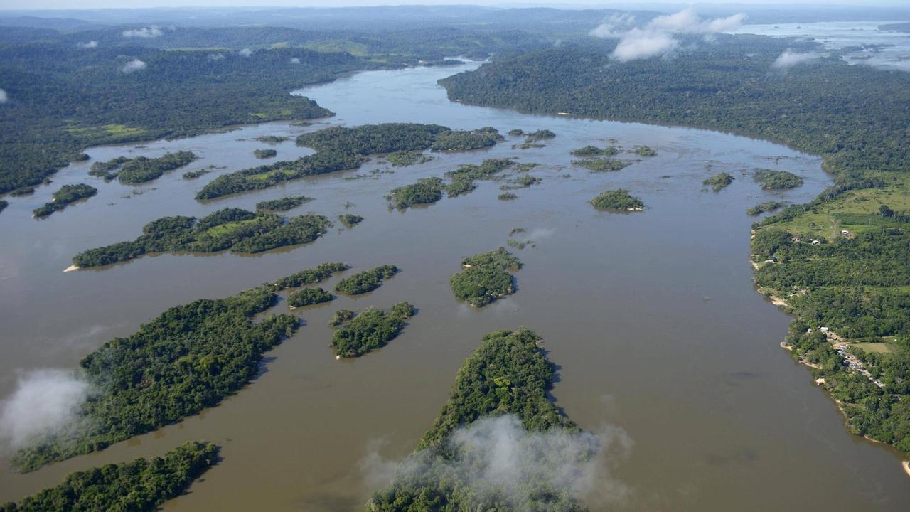 Luftbild, Flusslandschaft, kleine Inseln im Fluss Rio Tapajos im Amazonas-Regenwald, geplanter Staudamm Sao Luiz do Tapajos, Distrikt Itaituba, Bundesstaat Parß, Brasilien, Südamerika Copyright: imageBROKER/FlorianxKopp ibxflk04349919.jpg
Luftbild River landscape small Islands in River Rio Tapajos in Amazon Rain forest planned Dam Sao Luiz Do Tapajos District Itaituba Federal state Parß Brazil South America Copyright image broker FlorianxKopp ibxflk04349919 JPG Luftbild, Flusslandschaft, kleine Inseln im Fluss Rio Tapajos im Amazonas-Regenwald, geplanter Staudamm Sao Luiz do Tapajos, Distrikt Itaituba, Bundesstaat Parß, Brasilien, Südamerika Copyright: imageBROKER/FlorianxKopp ibxflk04349919.jpg
Luftbild River landscape small Islands in River Rio Tapajos in Amazon Rain forest planned Dam Sao Luiz Do Tapajos District Itaituba Federal state Parß Brazil South America Copyright image broker FlorianxKopp ibxflk04349919 JPG