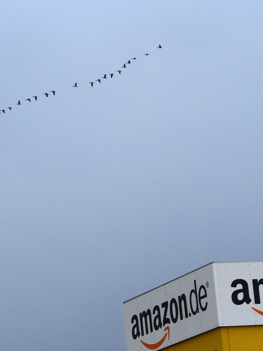Vögel fliegen am 22.09.2014 über dem Handelszentrum des Versandhändler Amazon in Graben (Bayern).