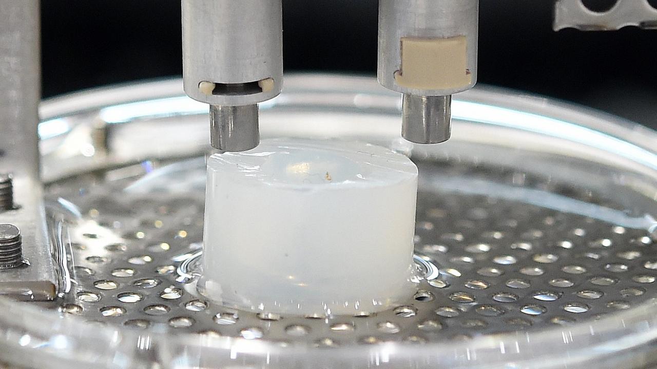 Einen 3D-Drucker, der zum Beispiel zum Konstruieren von Blutgefäßen aus gezüchteten körpereigenen Zellen dient, stellt ein Unternehmen auf der Doppelmesse Biotechnica/Labvolution 2015 in Hannover vor. Einen 3D-Drucker, der zum Beispiel zum Konstruieren von Blutgefäßen aus gezüchteten körpereigenen Zellen dient, stellt ein Unternehmen auf der Doppelmesse Biotechnica/Labvolution 2015 in Hannover vor.