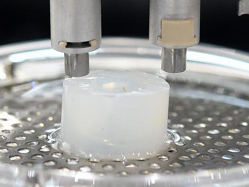 Einen 3D-Drucker, der zum Beispiel zum Konstruieren von Blutgefäßen aus gezüchteten körpereigenen Zellen dient, stellt ein Unternehmen auf der Doppelmesse Biotechnica/Labvolution 2015 in Hannover vor.
