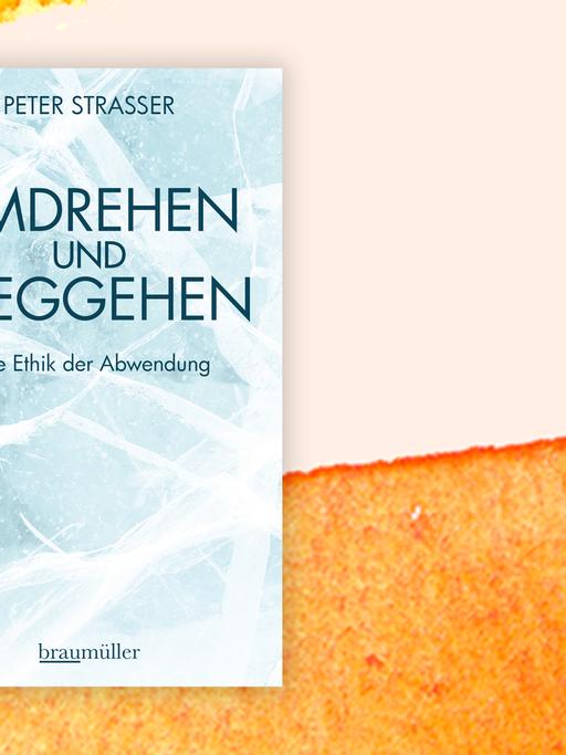 Auf dem Cover ist eine Detailaufnahme einer dicken Eisfläche mit vielen Rissen zu sehen.