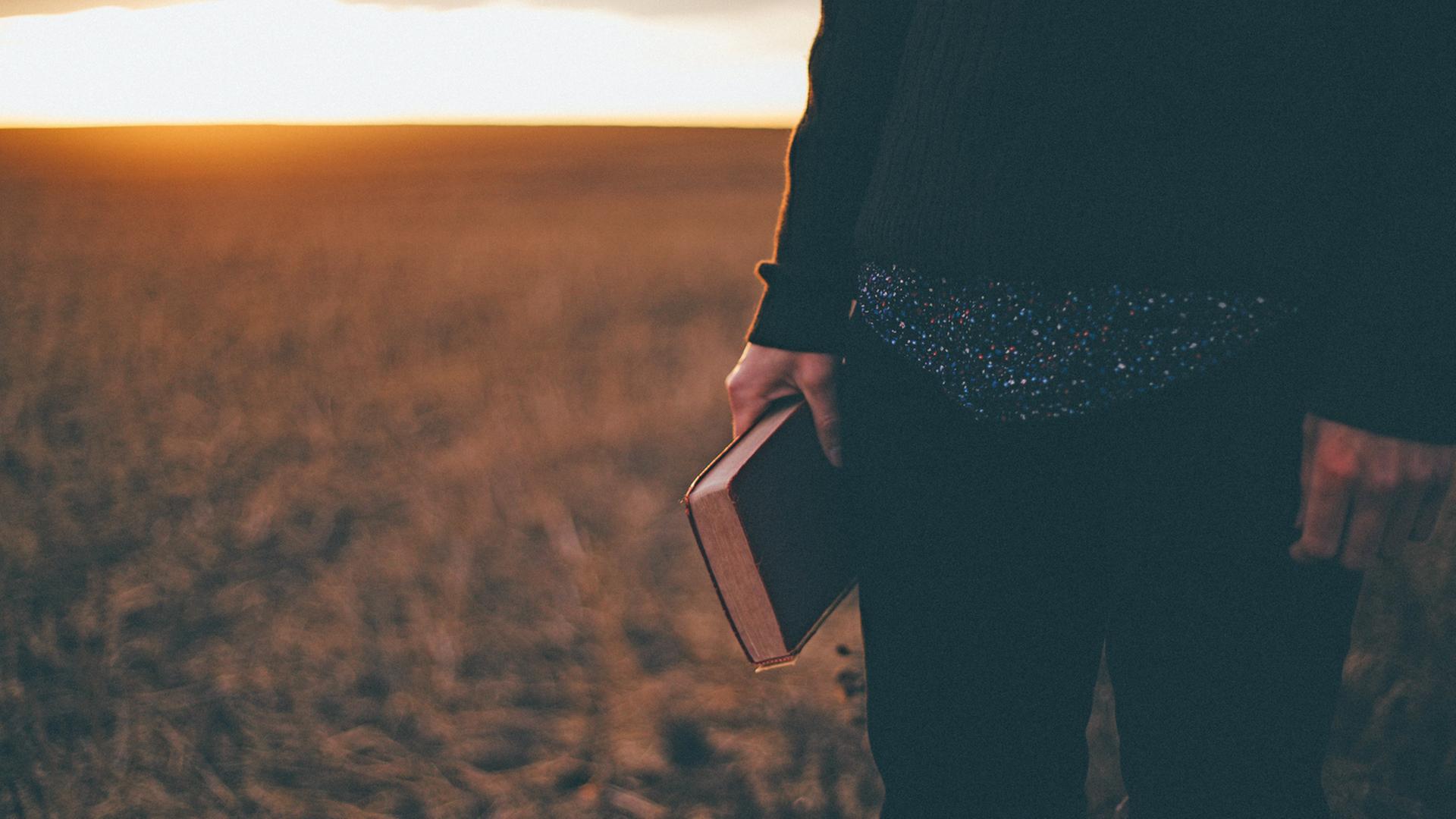 Jemand steht mit einem Buch in der Hand im Sonnenuntergang auf einem Feld.