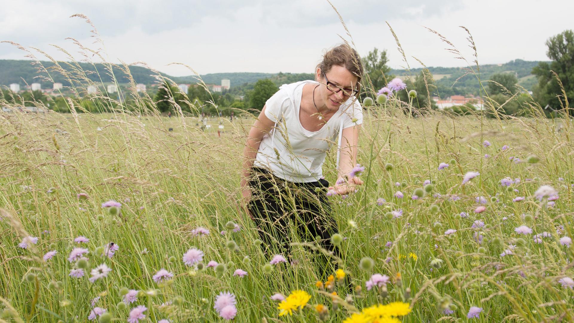 Anne Ebeling, Institut für Ökologie Uni Jena auf den Feldern des "Jena Experiments" Anne Ebeling, Institut für Ökologie Uni Jena auf den Feldern des "Jena Experiments"