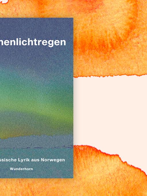 Buchcover zu "Sternenlichtregen"