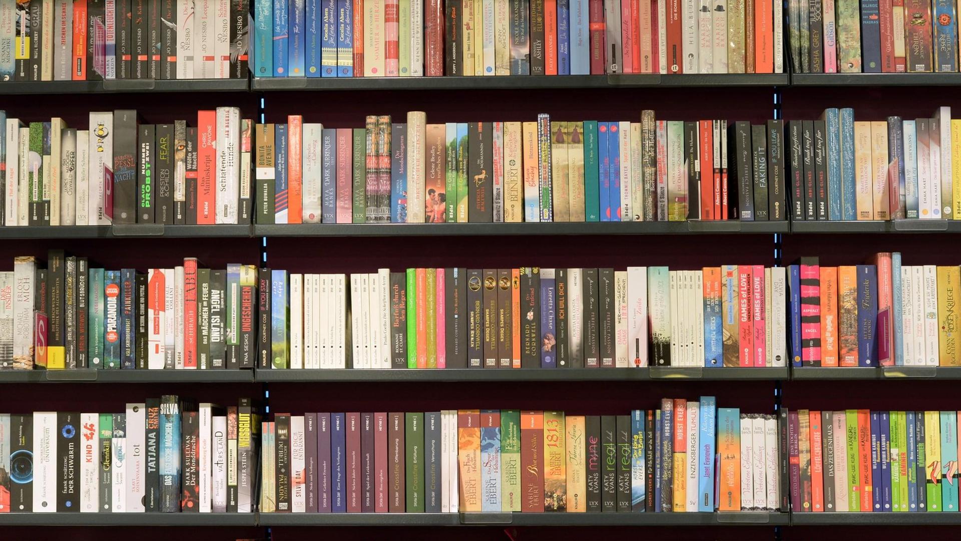 Bücherreihen, fotografiert am 17.02.2015 in einer Buchhandlung in Potsdam (Brandenburg). Bücherreihen, fotografiert am 17.02.2015 in einer Buchhandlung in Potsdam (Brandenburg).
