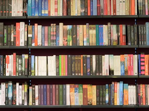 Bücherreihen, fotografiert am 17.02.2015 in einer Buchhandlung in Potsdam (Brandenburg). Bücherreihen, fotografiert am 17.02.2015 in einer Buchhandlung in Potsdam (Brandenburg).