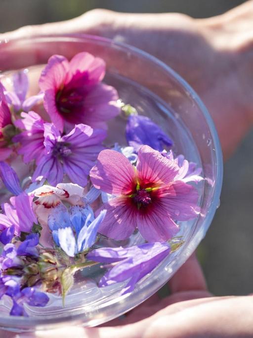 Blumen in einer Glasschale, die für alternative Heilmethoden angewendet werden.