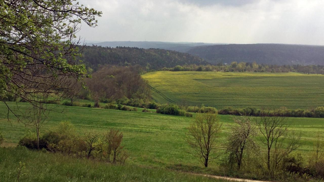 Eindruck von der Wanderung rund um Jena Eindruck von der Wanderung rund um Jena