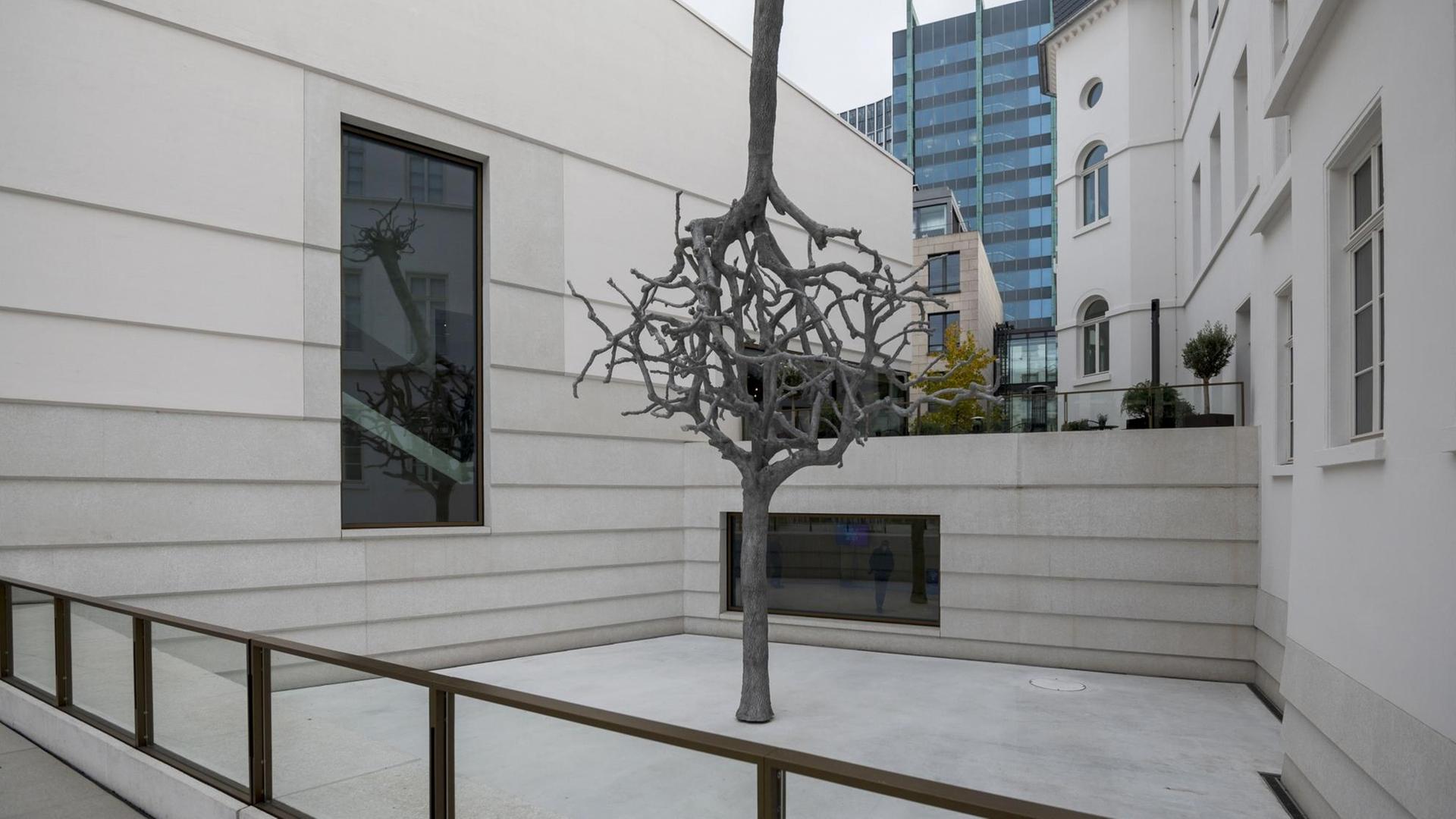 Die aus zwei Bäumen bestehende Skulptur "Untitled" von Ariel Schlesinger bestimmt den Innenhof des Neuen Jüdischen Museum in Frankfurt am Main.