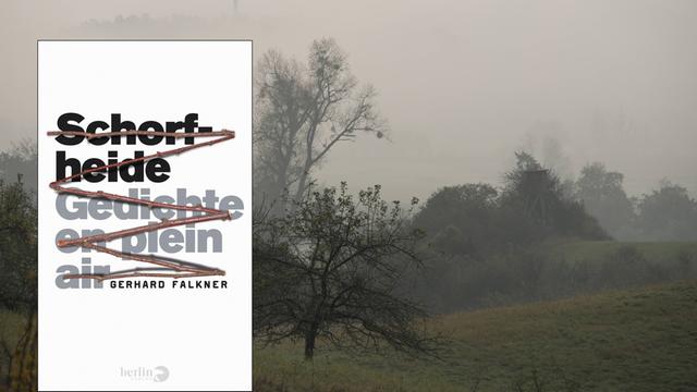 Im Vordergrund ist das Cover des Buches "Schorfheide", im Hintergrund eine Auenlandschaft der Schorfheide in der der Nebel hängt.