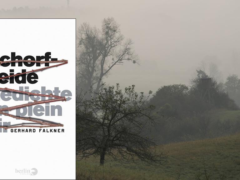 Im Vordergrund ist das Cover des Buches "Schorfheide", im Hintergrund eine Auenlandschaft der Schorfheide in der der Nebel hängt.