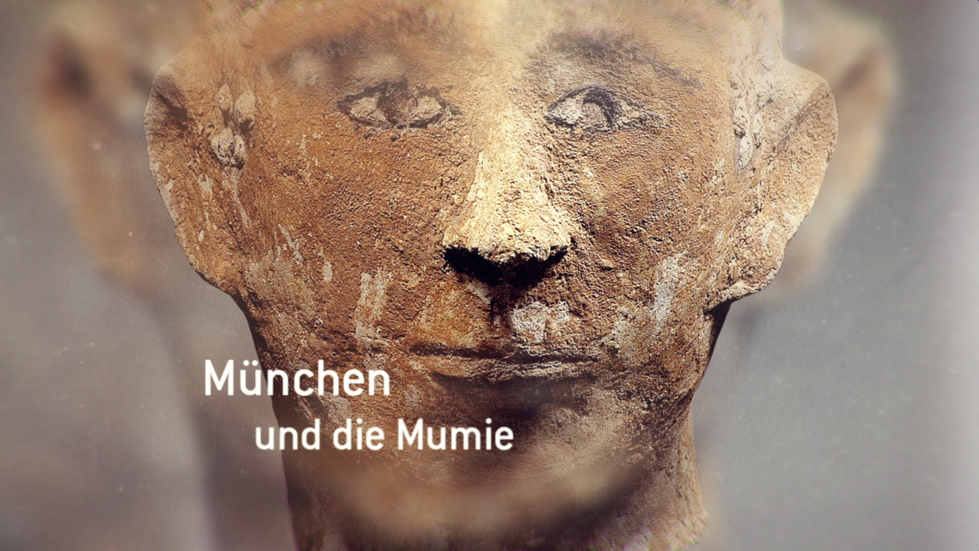 Das Geheimnis des Stuckkopfs versuchen die Wissenschaftler in München zu lüften. Das Geheimnis des Stuckkopfs versuchen die Wissenschaftler in München zu lüften.