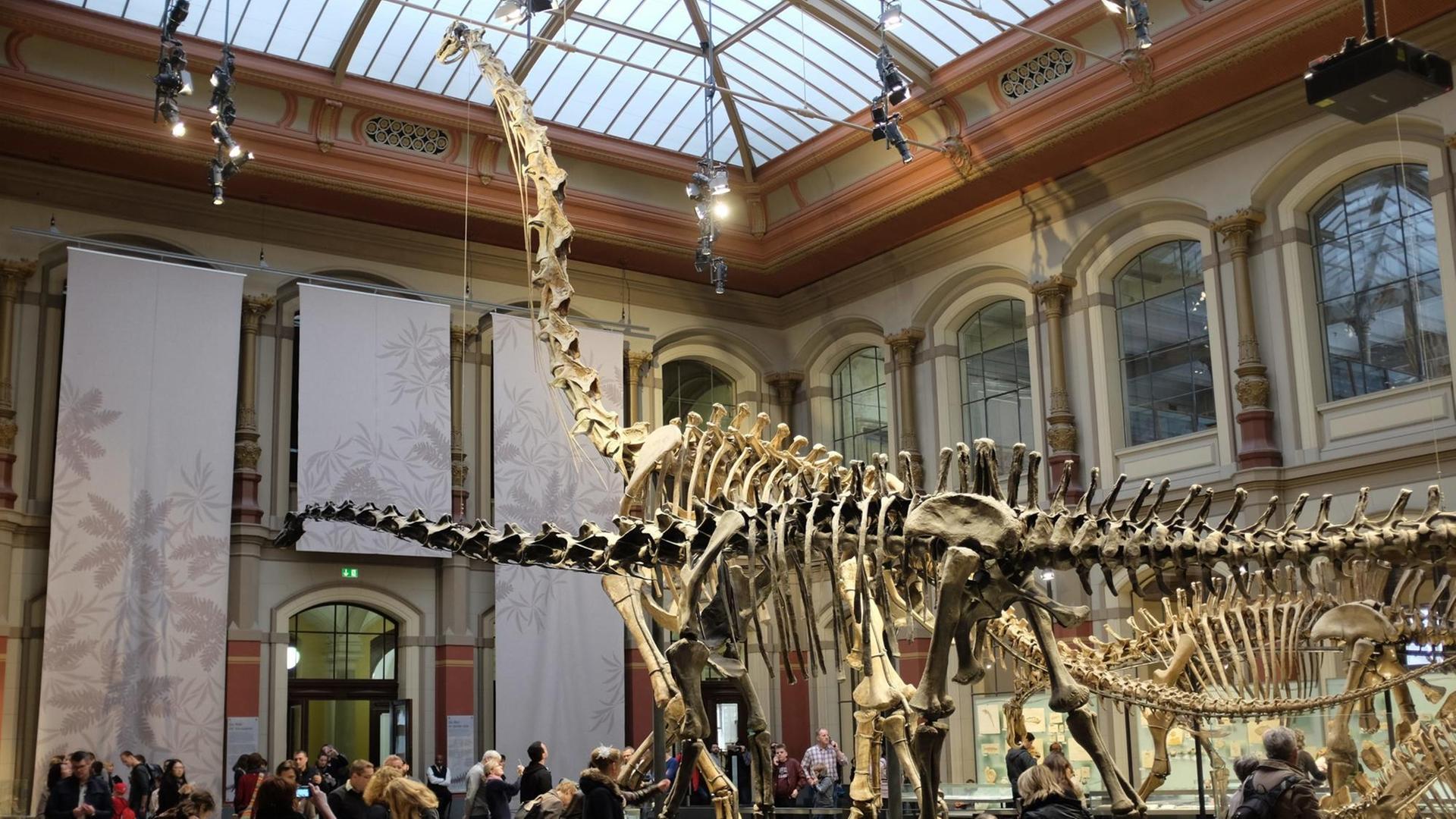 Die große Ausstellungshalle mit dem Brachiosaurus im Naturkundemuseum in Berlin. Die große Ausstellungshalle mit dem Brachiosaurus im Naturkundemuseum in Berlin.