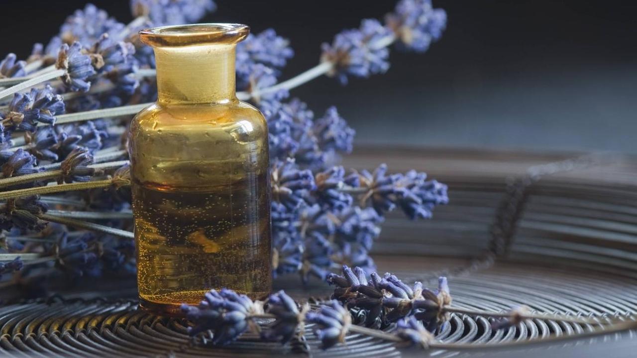 Lavendelöl in einer Flasche, daneben liegen Lavendelblüten Lavendelöl in einer Flasche, daneben liegen Lavendelblüten