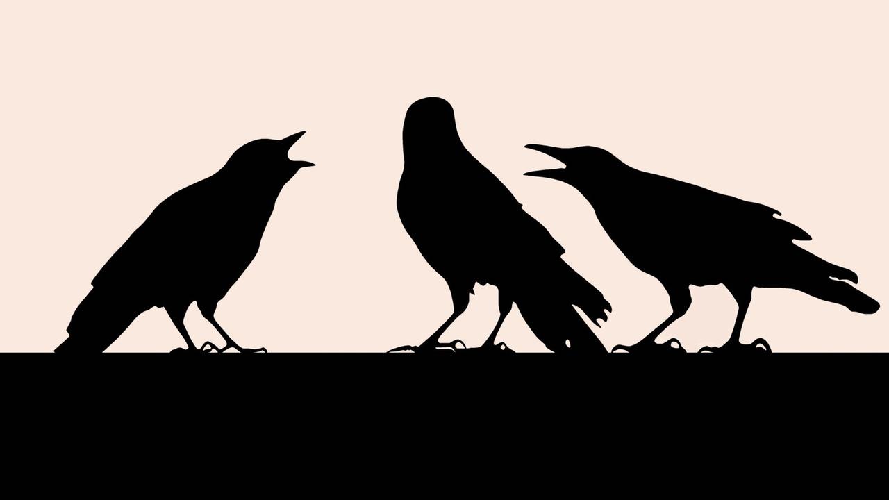 Sinnbild für Streit: Silhouette von drei Raben Sinnbild für Streit: Silhouette von drei Raben
