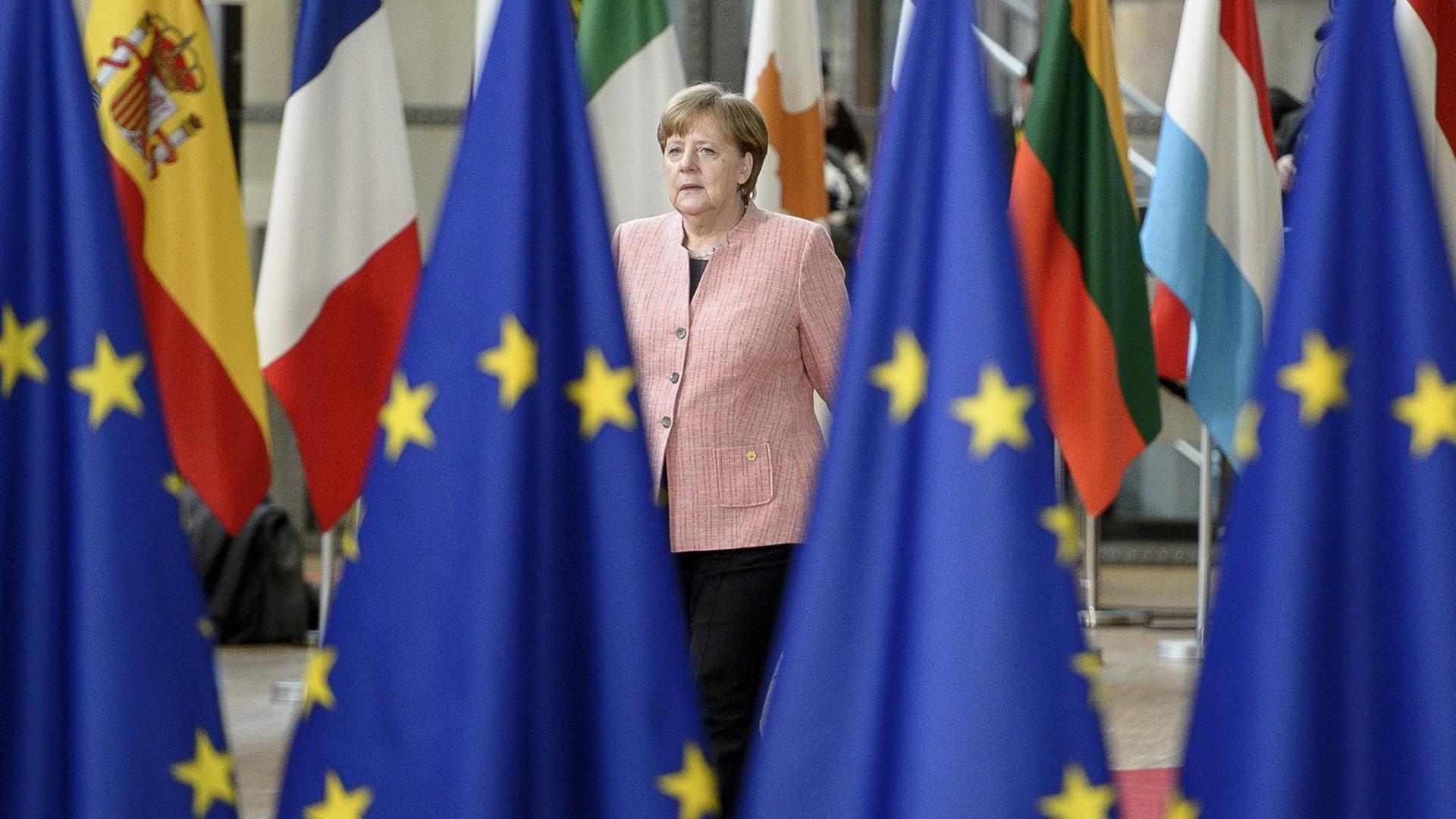 Angela Merkel geht am 22.03.2017 im Europäischen Rat einen mit Flaggen gesäumten Weg entlang. Im Vordergrund sind vier Europaflaggen zu sehen. Angela Merkel geht am 22.03.2017 im Europäischen Rat einen mit Flaggen gesäumten Weg entlang. Im Vordergrund sind vier Europaflaggen zu sehen.