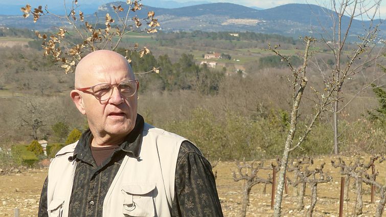Ein Mann mit Glatze und Brille steht auf einem Weinberg. Ein Mann mit Glatze und Brille steht auf einem Weinberg.
